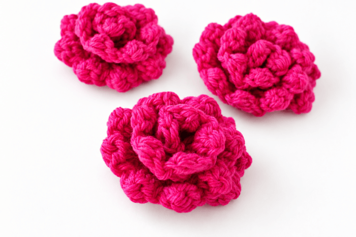 Crochet Roses
