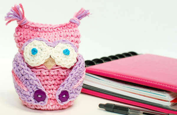 Crochet Owl Apple Cozy | www.petalstopicots.com | #crochet #owl