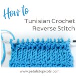 How to Tunisian Reverse Stitch