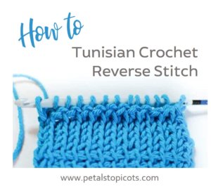 How to Tunisian Reverse Stitch