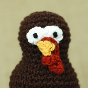 Thanksgiving Turkey Crochet Pattern | www.petalstopicots.com