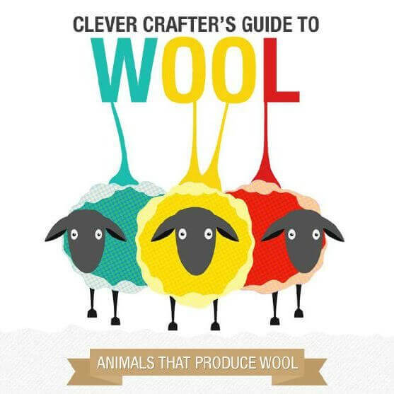 A Clever Crafter’s Guide to Wool