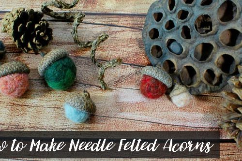 How to Make Needle Felted Acorns dsc_00600-title