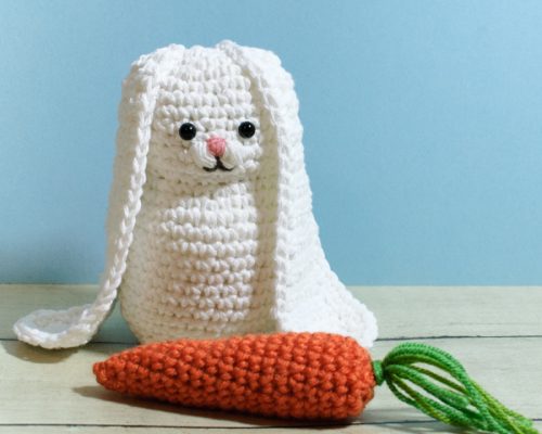 Bunny and Carrot Crochet Patterns DSC_0003-2