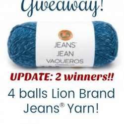 Lion Brand Jeans Yarn Giveaway Lion Brand Jeans Yarn Giveaway