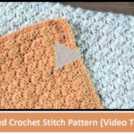 Textured Crochet Stitch Pattern {Video Tutorial}
